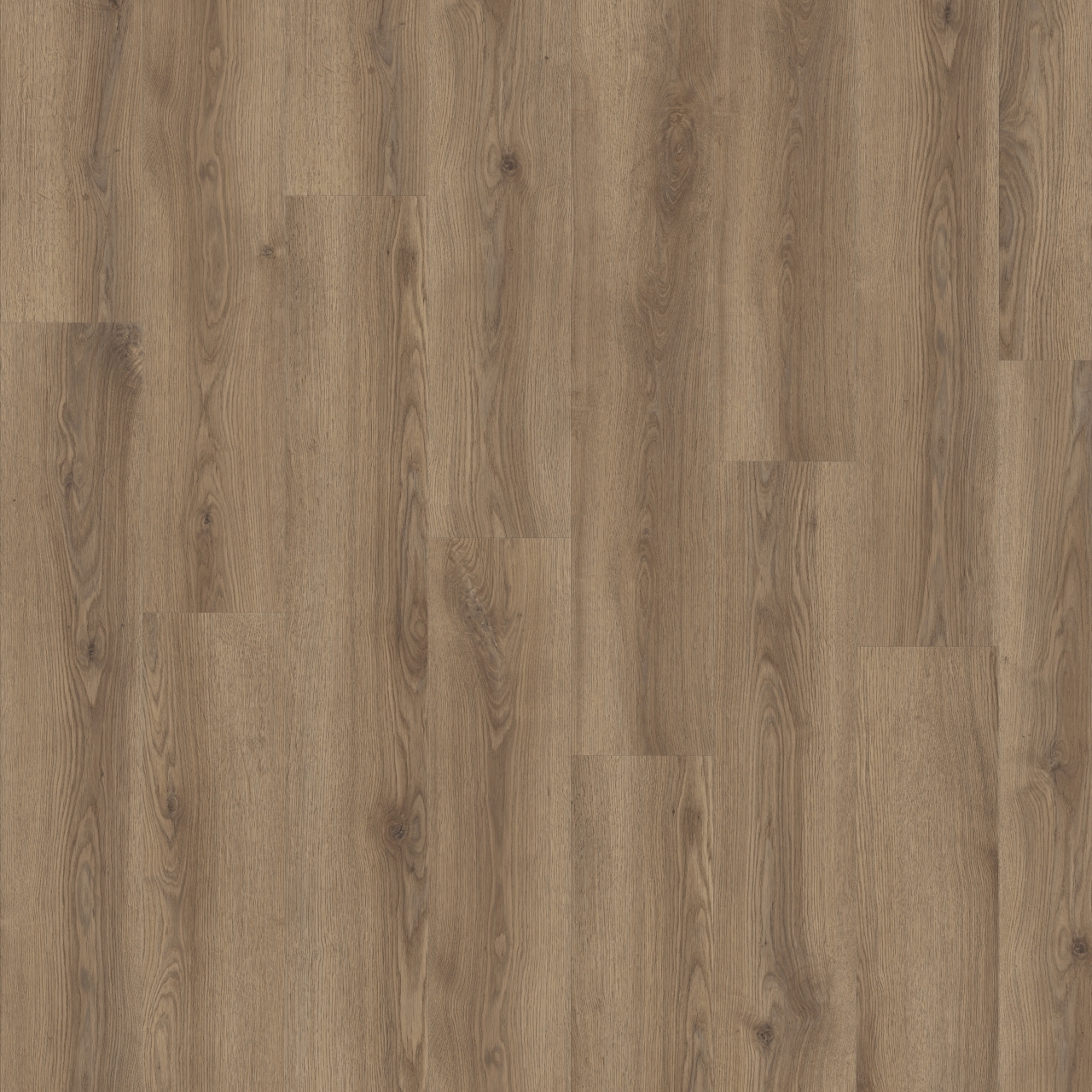 84864 Barley Oak DIVINO Drayback