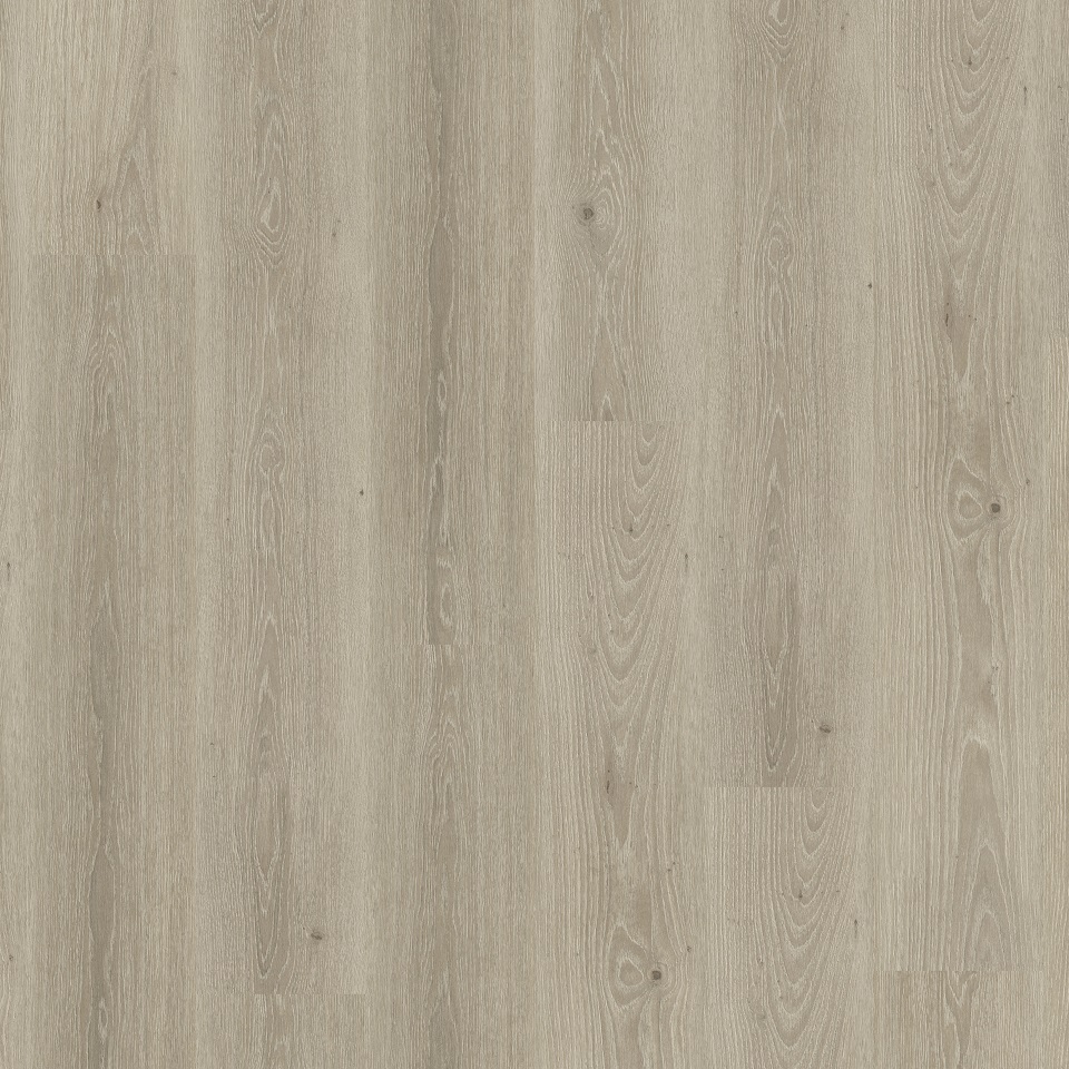 280064008 Living 55 - Tribe Oak Grey
