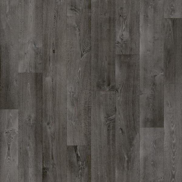 699 D Crouch Oak