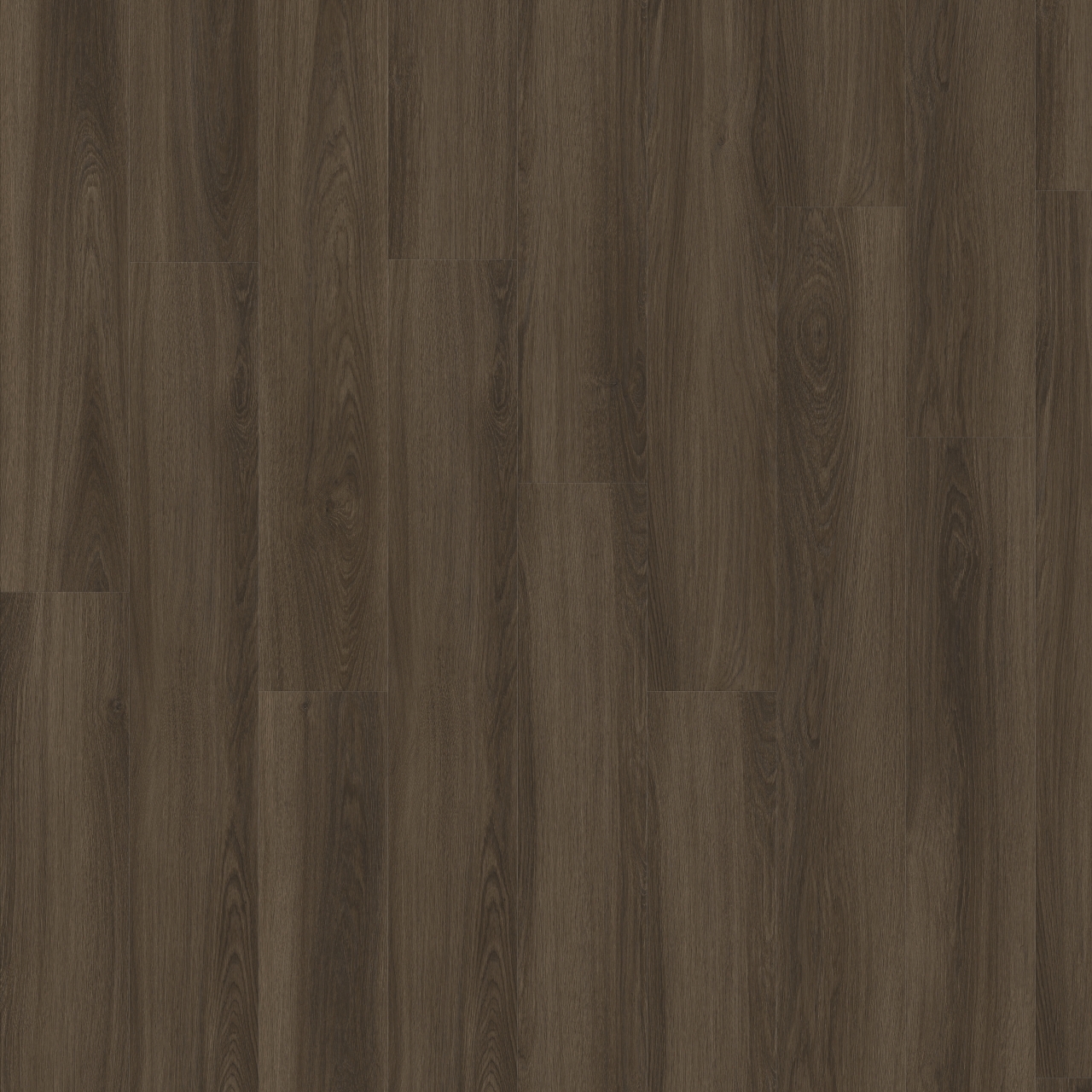 03884 Solida Rivera Oak