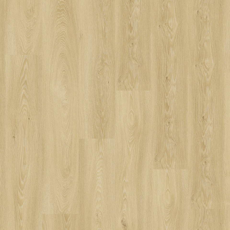 280064001 Living 55 - Cool Oak Classic