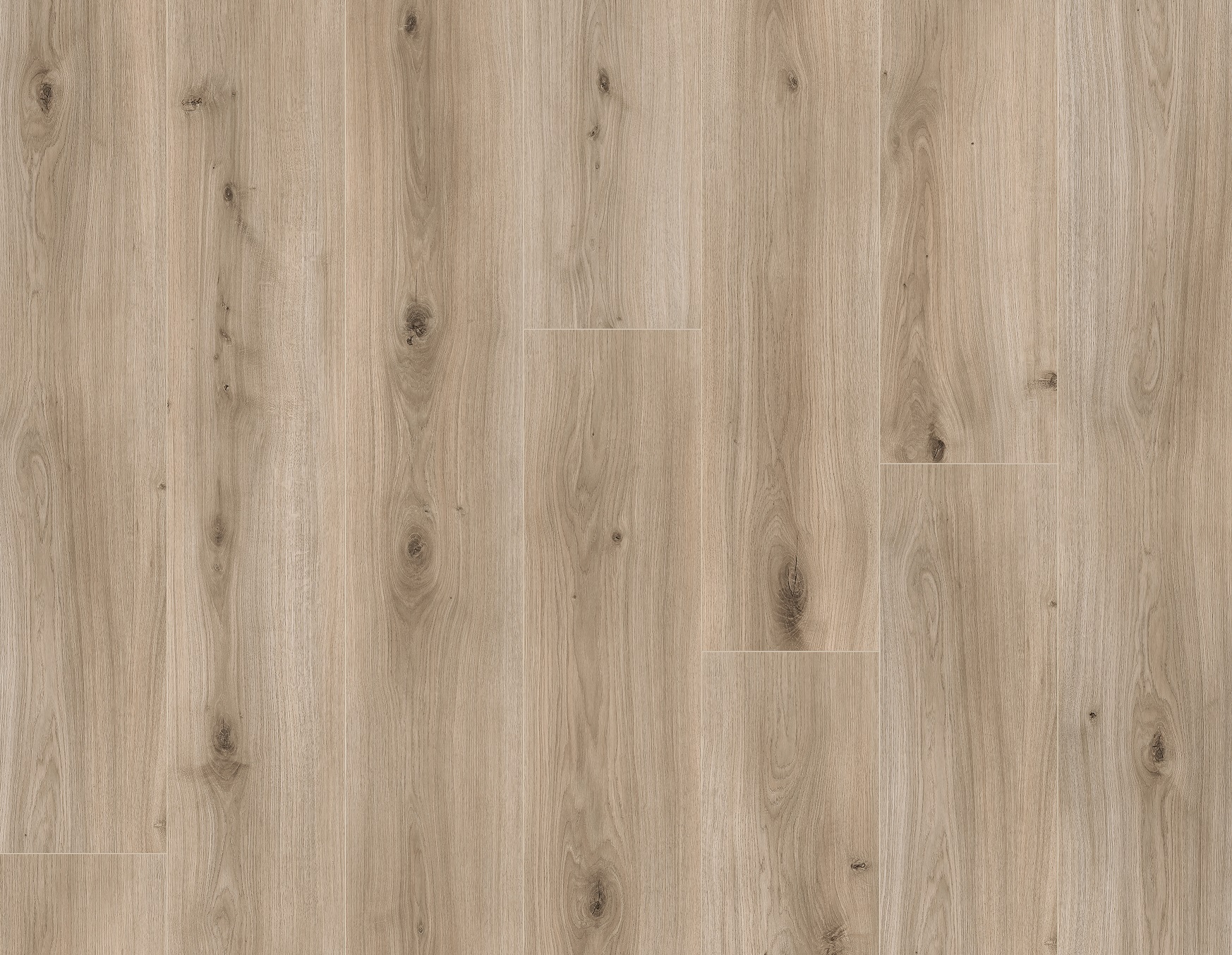 00123 Xpert Pro Better Gloom Oak/Похмурий дуб