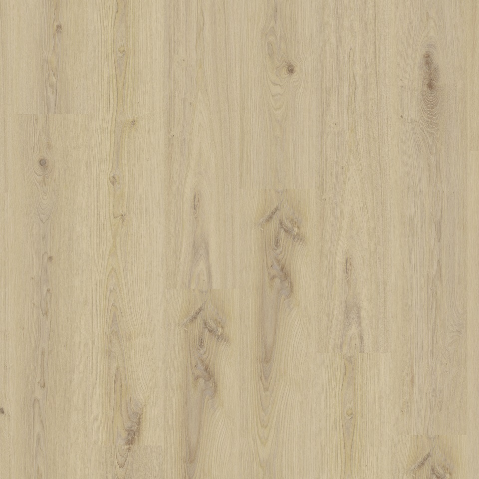 280064003 Living 55 - Primary Oak Beige