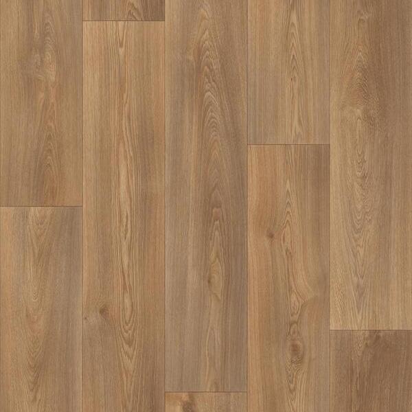 692 M Columbian Oak