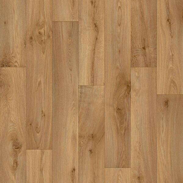 662 M Willow Oak