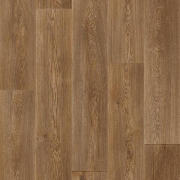 649 M  Columbian Oak