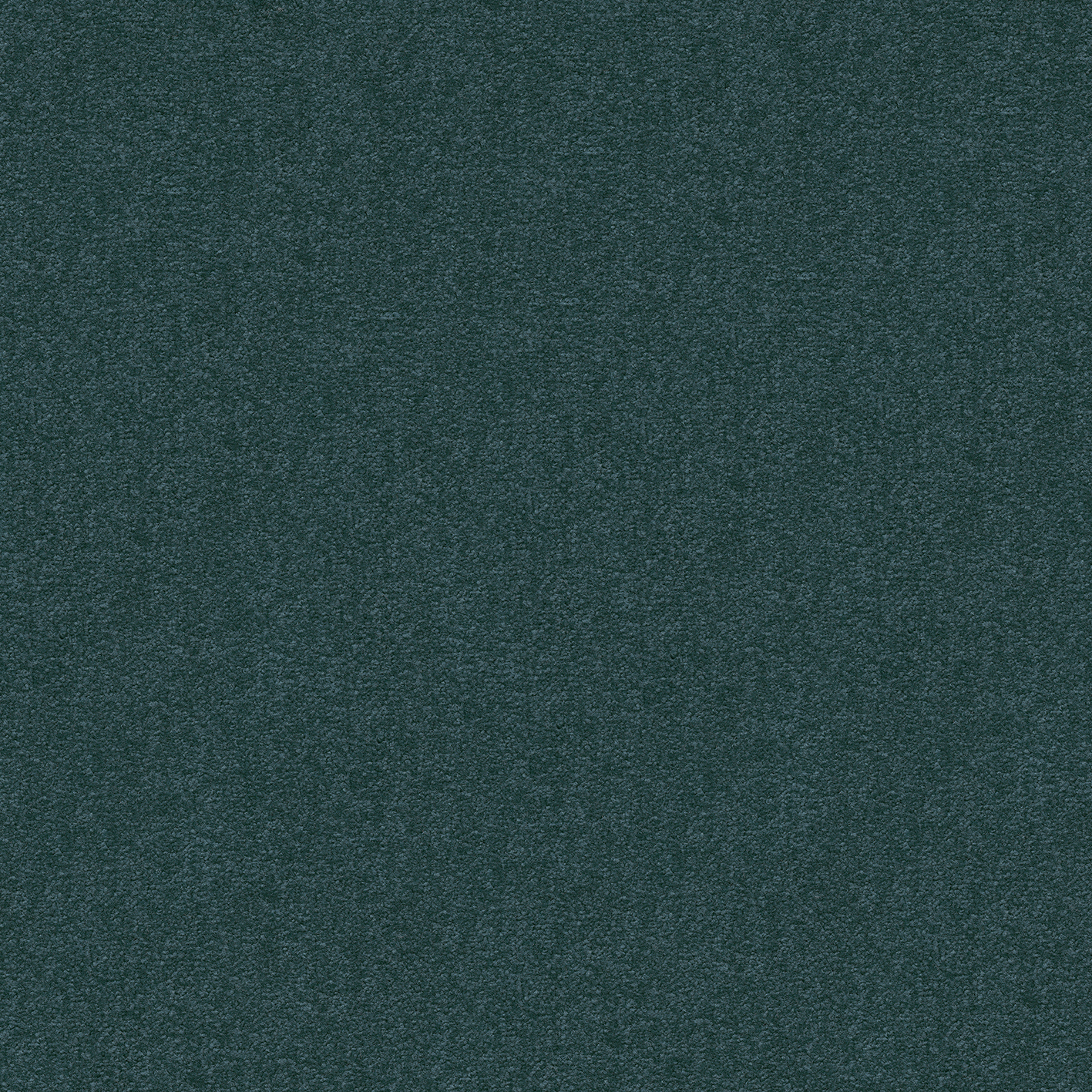 CAMBRIDGE  684