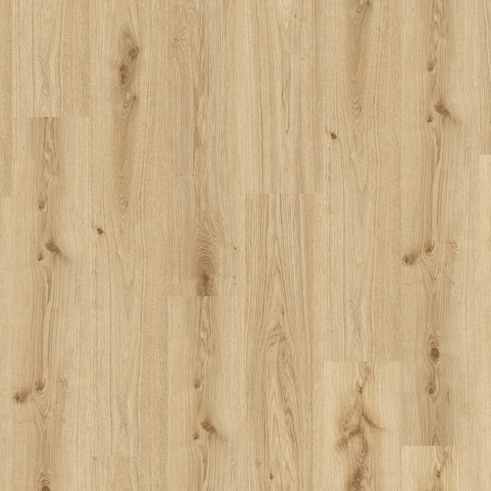 280064005 Living 55 - Primary Oak Light Brown