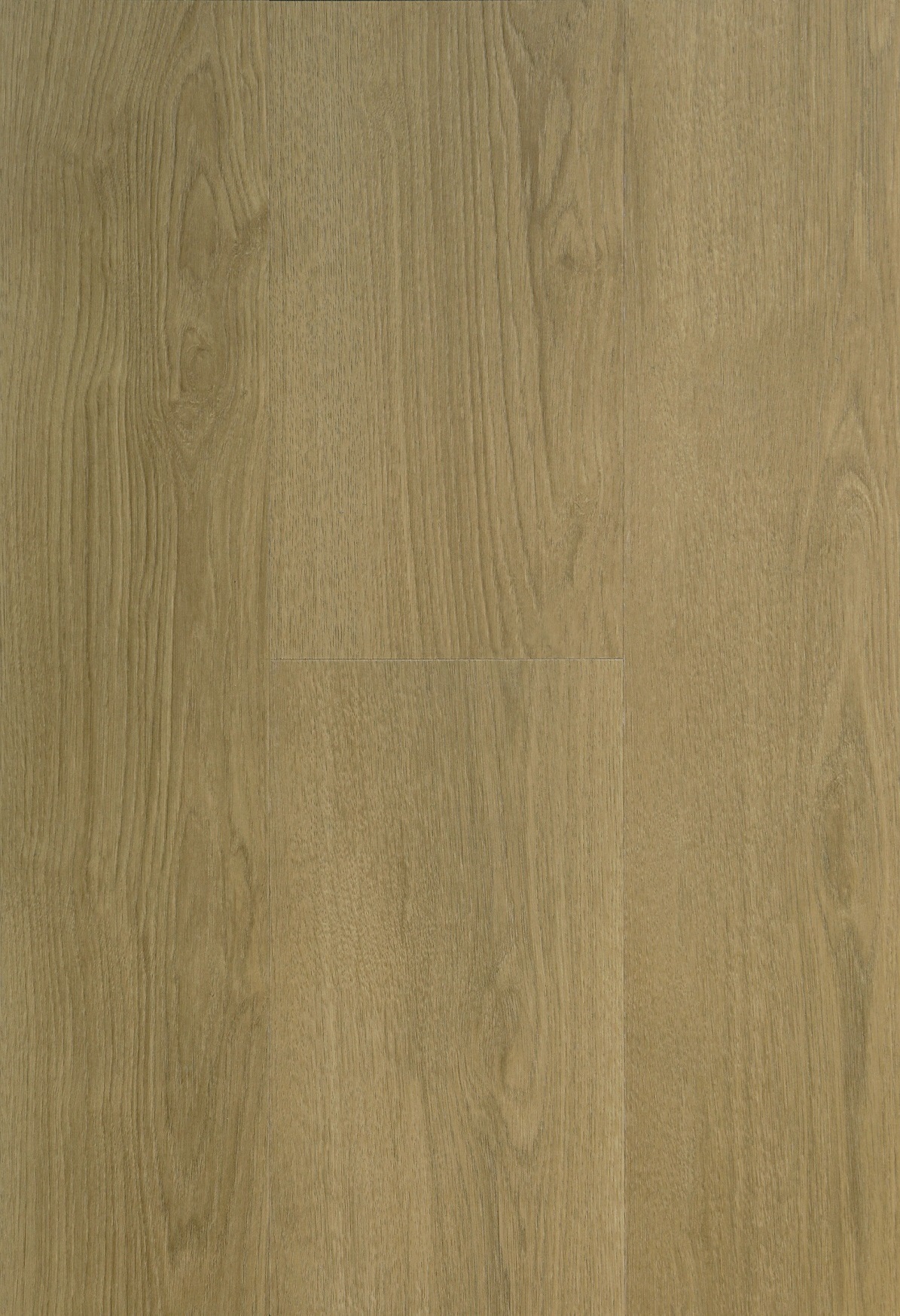 7586 Novocore Legacy Oak