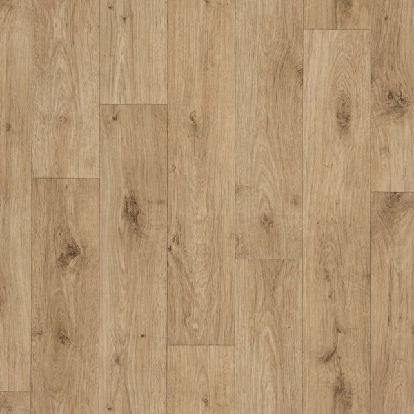 591-01 S Ohrid Oak S61