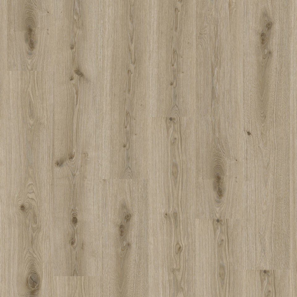 280064006 Living 55 - Primary Oak Light Grey