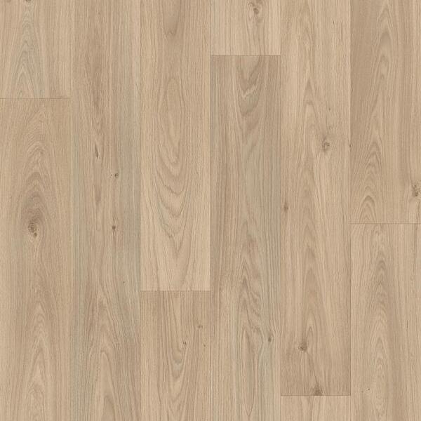 119 M Gambel Oak