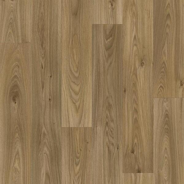 669 D Gambel Oak