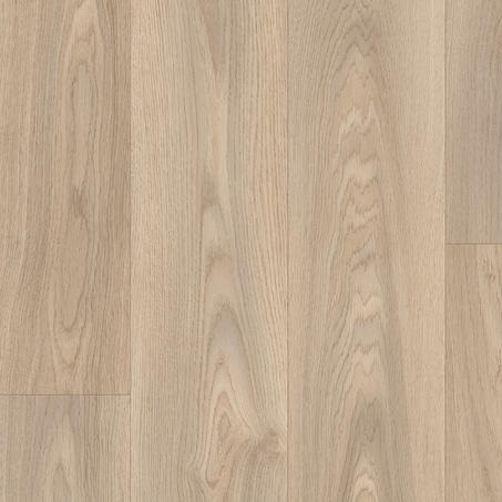 Citizen Oak Medium Grey