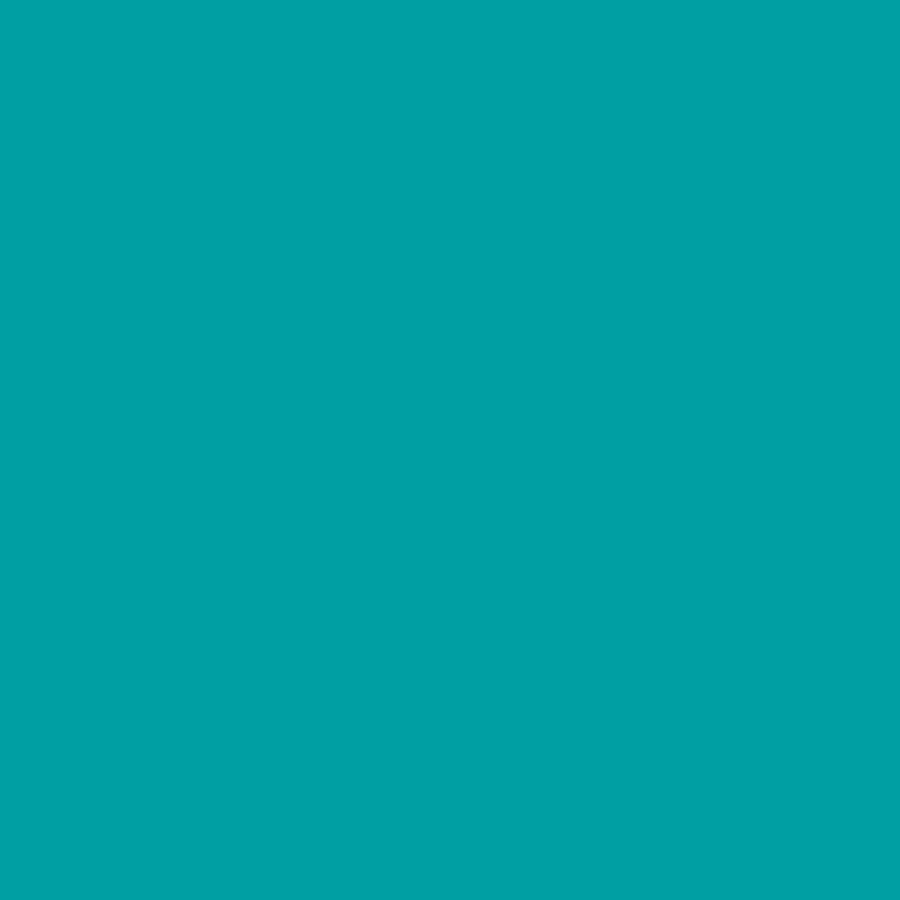 Omnisports speed Teal